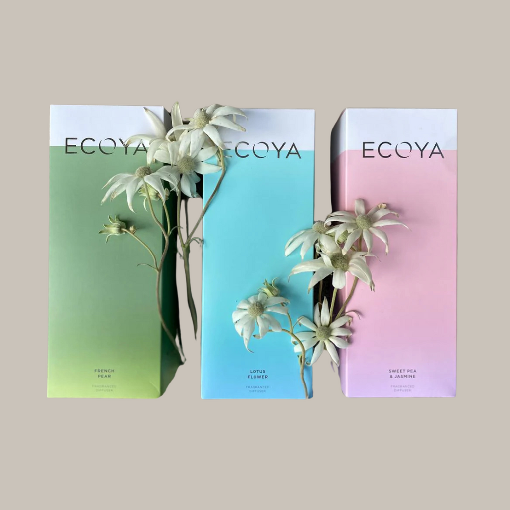 Ecoya Diffuser. Brisbane Florist. Kenmore Village Florist. Same Day Delivery.